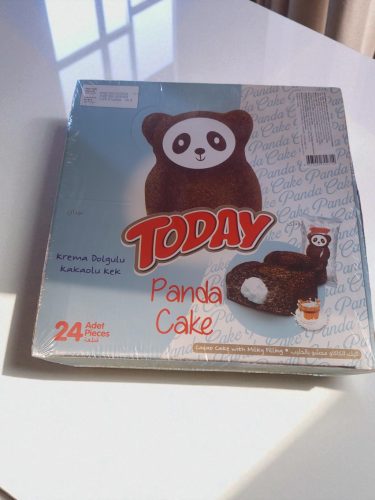 Today panda 45g